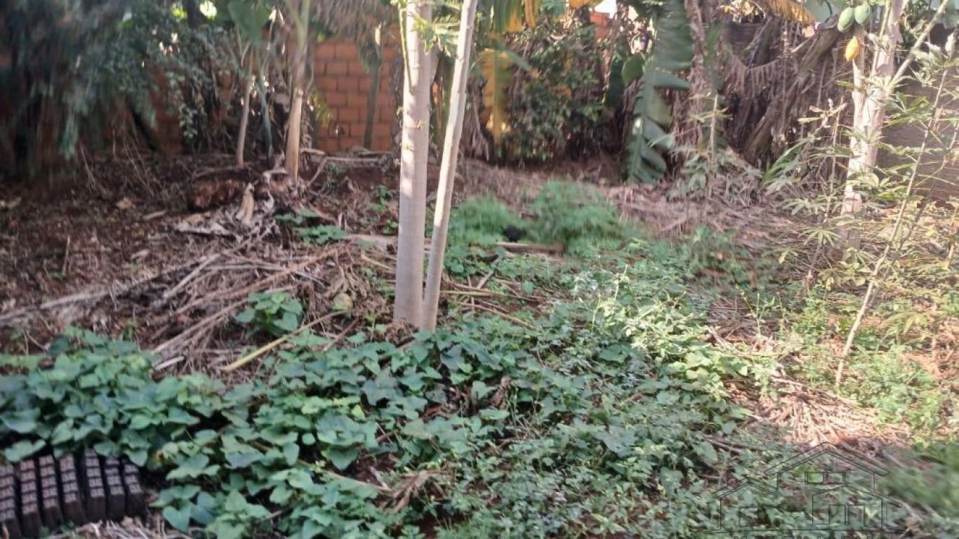 Terreno á Venda.
